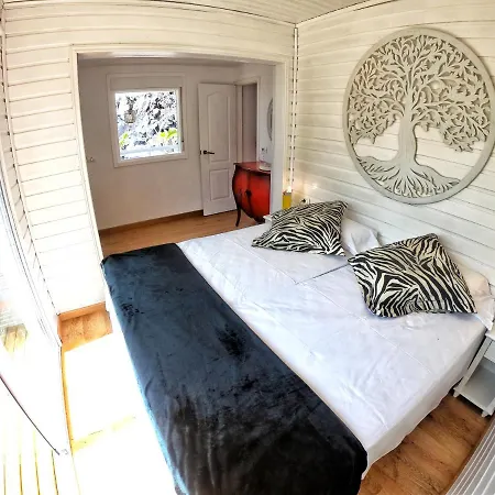 Berolo 4 Guía de Isora