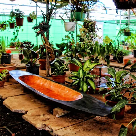 Berolo 4 Guía de Isora